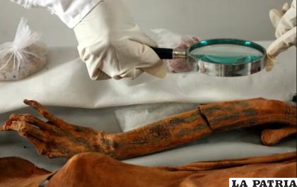 Un arqueólogo inspecciona el brazo tatuado de una momia, conocida como la Dama de Cao, de la antigua cultura Moche de Perú. Esta joven, que se cree pertenecía a la élite moche, murió alrededor del año 450 d.C. Sus tatuajes de arañas y serpientes sugieren que era espiritual /STR NEW REUTERS, REDUX