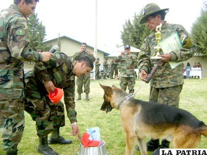 Canes patrullarán la ciudad, entre ellos el campeón “Criminal”, que junto a sus instructores reforzarán las acciones de seguridad ciudadana