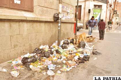 La basura se acumula en cualquier esquina de la ciudad y luego es esparcida por los perros y los propios ciudadanos