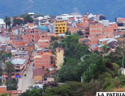 La región de los Yungas es una inmensa selva de montaña, con abruptos relieves y escarpados picos. Coroico es un la capital de la zona de Nor Yungas