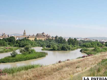 Rivera del río Guadalquivir