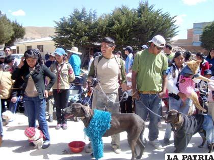 Canes mostraron sus destrezas en la actividad organizada por SPAO