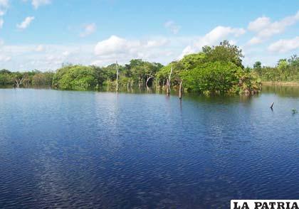 La Amazonía concentra la mayor cantidad de agua dulce del mundo