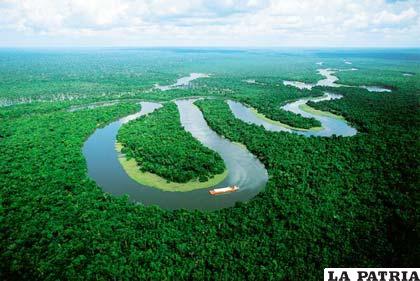 La represa inundará 516 kilómetros cuadrados de selva