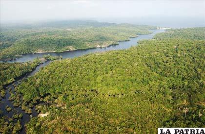 La Amazonía es considerada el pulmón del mundo y una de las regiones con la más alta concentración de biodiversidad y reservas genéticas del planeta