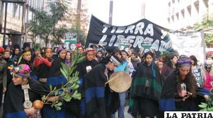 Jóvenes fueron detenidos por manifestarse frente al palacio a favor de indígenas Mapuches /redaccion.lamula.pe