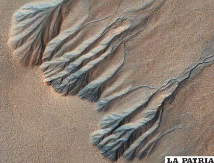 El paisaje de esta imagen aérea se asemeja a venas y arterias. Los científicos creen que fue causado en el pasado por agua líquida cuando el planeta era más caliente y húmedo. Foto NASA/JPL/ University of Arizona