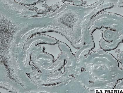En el polo Sur del planeta rojo el paisaje es blanco. Debido a las bajas temperaturas, las extremidades del planeta están cubiertas de hielo Foto NASA/JPL/ University of Arizona