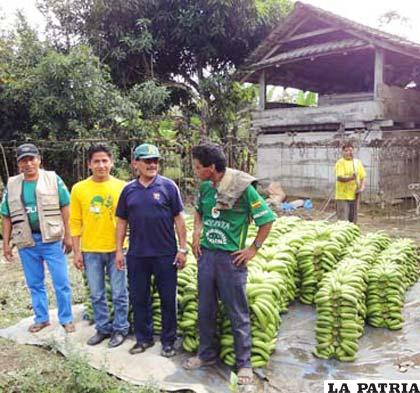 Empresarios bananeros de Bolivia con su producto de exportación /fondioc.gob.bo