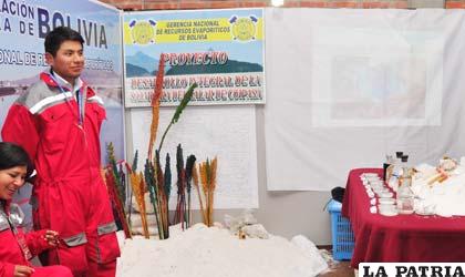 Recursos evaporíticos de los salares de Uyuni y Coipasa