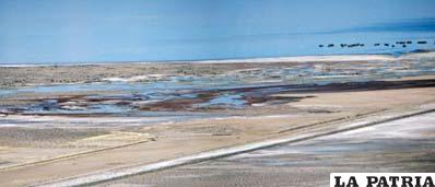 Pantano que recibe las aguas servidas de Oruro