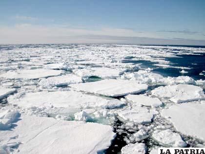 El hielo marino que cubre el Océano Ártico se ha reducido al tamaño más pequeño jamás observado