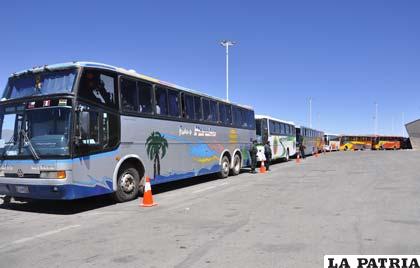 La caravana de buses que trajo a 428 bolivianos desde Iquique