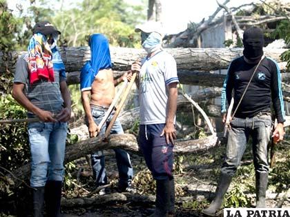 La protesta de los campesinos en el Catatumbo comenzó en contra de la erradicación de cultivos de coca