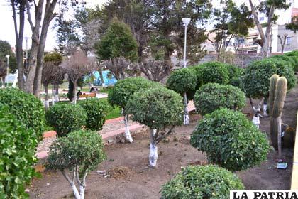 Se pretende forestar la ciudad de Oruro con 10 mil plantines