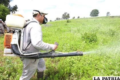 Existe el riesgo que ingresen al país plaguicidas peligrosos