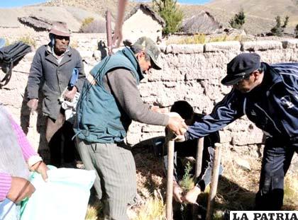 En Poopó comunarios ayudan a plantar arbolitos