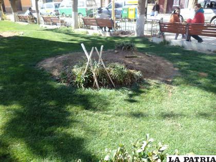 Jardinera deteriorada por niños y animales