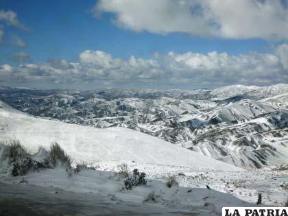 Las nevadas afectaron al ganado en la zona del altiplano