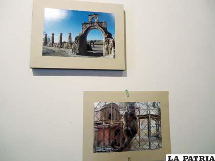 Fotografías de la estudiante Darlin Gonzales