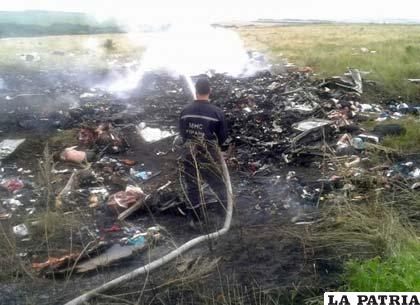 Unos perros policías ayudarán en el rescate de cuerpos de avión malayo derribado en Ucrania