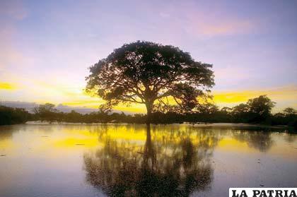 Atardecer en la Amazonía boliviana