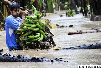 En San Ignacio de Moxos siguen sufriendo a causa de las inundaciones