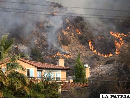 Voraz incendio destruye más de 200 hectáreas en la Sierra Nevada