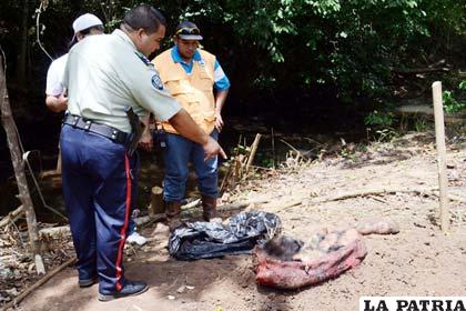 Un efectivo de la Policía venezolana muestra los cuerpos descuartizados de dos jóvenes