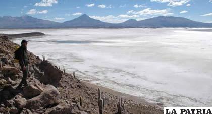 El salar de Coipasa pertenece al departamento de Oruro /BOLIVIAENTUSMANOS.COM