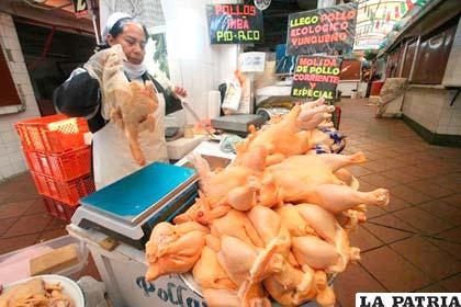 Precios del pollo continúan altos en los mercados /RADIO FIDES