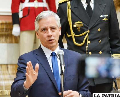 El vicepresidente García Linera arremetió contra las ONGs /ABI