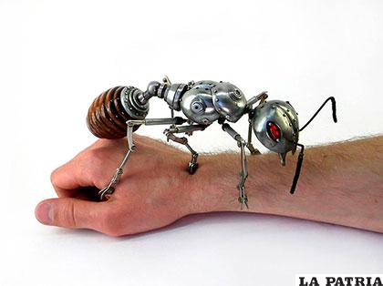 La hormiga combina lo hermoso del mundo con lo técnico