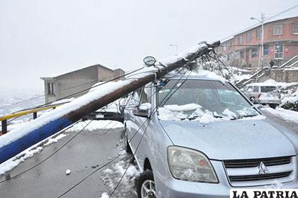 La nieve también ocasionó la caída de postes de electricidad