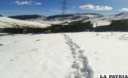 La nevada que cayó en los últimos días tapó por completo los pastizales en Milluni