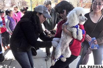 Cientos de ciudadanos llevaron a sus mascotas a los puestos de vacunación