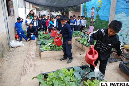 Niños aprenden a sembrar y cosechar /ABI