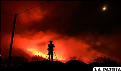 Incendios forestales se intensifican en la costa oeste de Estados Unidos /emol.com
