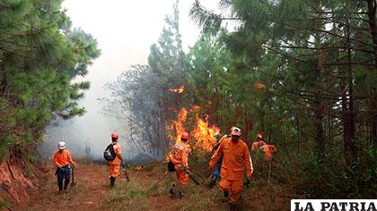 Defensa Civil Colombiana trabaja en la extinción del incendio forestal