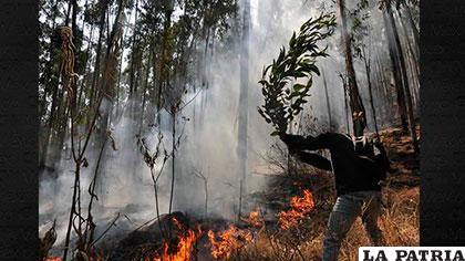 Los incendios forestales producen la pérdida de calidad paisajística