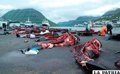 Tétrica imagen de lo que ocurrió en las Islas Feroe