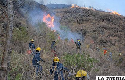 Incendio en el Parque Nacional Tunari /APG