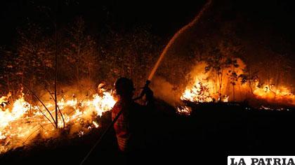 Los bomberos luchan contra el fuego cerca de Talhadas, Portugal
