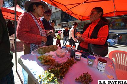 Personas de la tercera edad enseñan a jóvenes sobre beneficios de  medicinas naturales