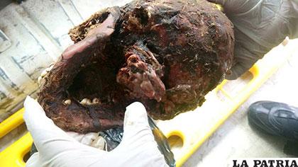 La base del cráneo con restos de carne