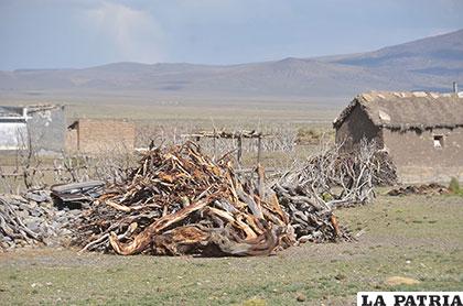 Productores hablan sobre nuevas acciones para contrarrestar los efectos del cambio climático
