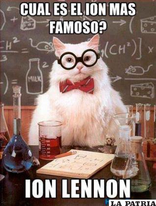 El famoso gato científico
