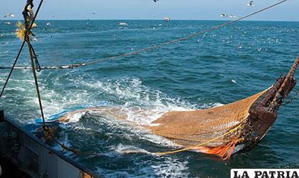 La pesca industrial y semiindustrial deja serias consecuencias a los fondos marinos
