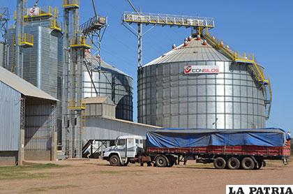 Bolivia necesita más silos para proteger su producción granera