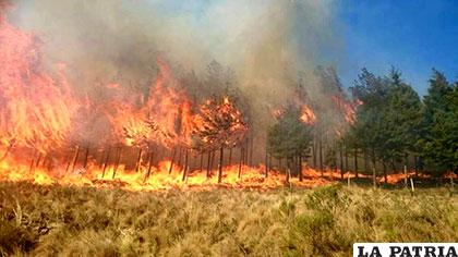 Imágenes que muestran la voracidad del incendio que afecta a poblaciones cercanas a la ciudad de Tarija